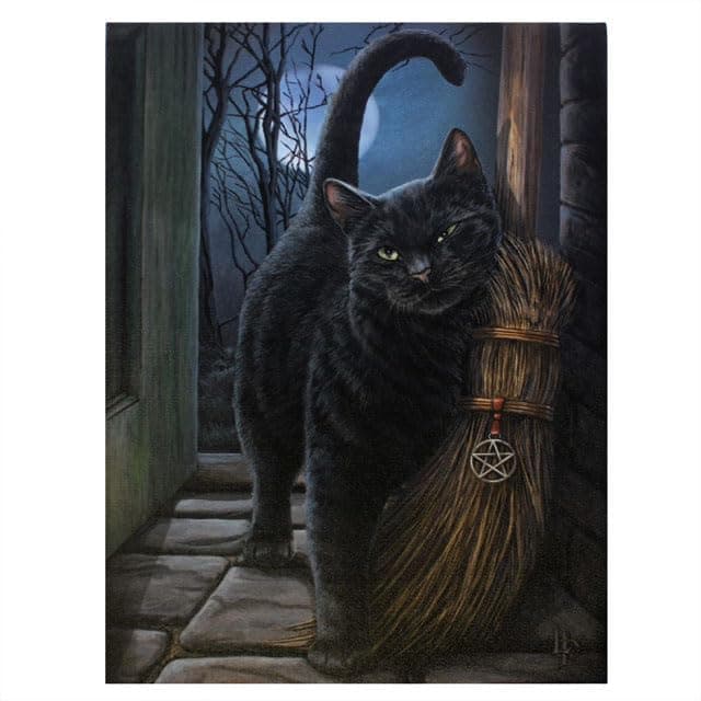 Something Different WP_35535 Canvas Plaque | Brush with Magick by Anne Stokes | 19x25 | 1pc, Brown