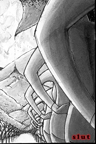 Slut Paperback – June 16, 2009