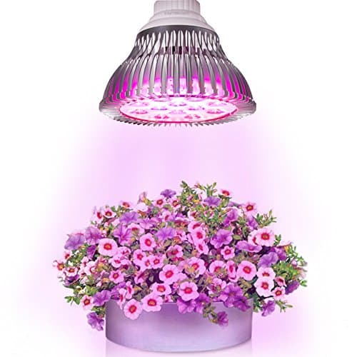 VASTBRIGHT Highest Efficient Hydroponic LED Grow Light, Plant Grow Lights E27 Growing Lamp for Garden Greenhouse, 12W - 12 LEDs (3 Blue & 9 Red) (12 W)