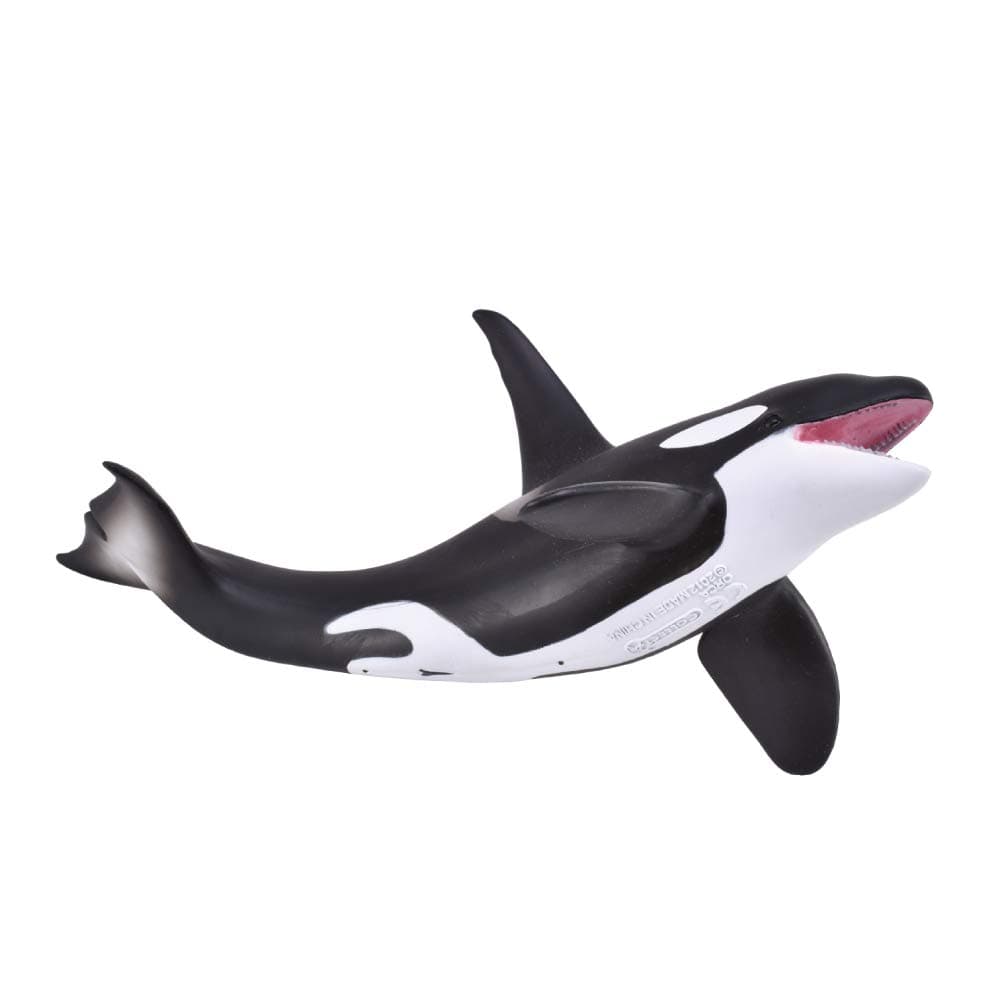 Orca