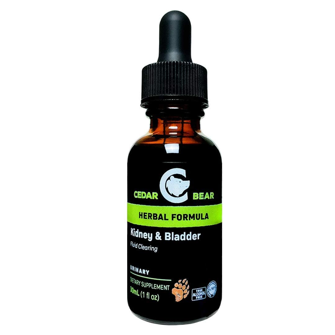 Cedar Bear Kidney & Bladder Blend a Liquid Herbal Supplement That Soothes, Tonifies and Supports Proper Fluid Dynamics for The Bladder and Urinary System 1 Fl Oz