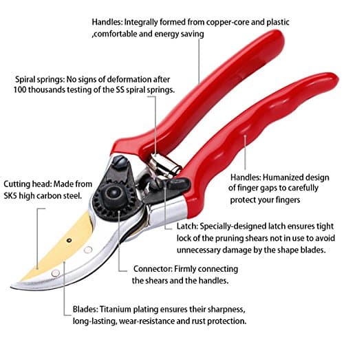Titanium Pruning Shears - Best Pruning Tools,Pruning Snip,Tree Trimmer, Garden Shears, Hand Pruner-Included cow leather Sheath, Shrub & Hedge Clippers.