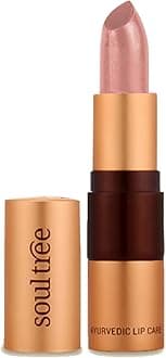 Ayurvedic Lipstick - Peachy Mist 540, 4gm | Creamy Texture | Enriched with Organic Ghee & Almond Oil | Moistured & Nourished Lips | 4gm
