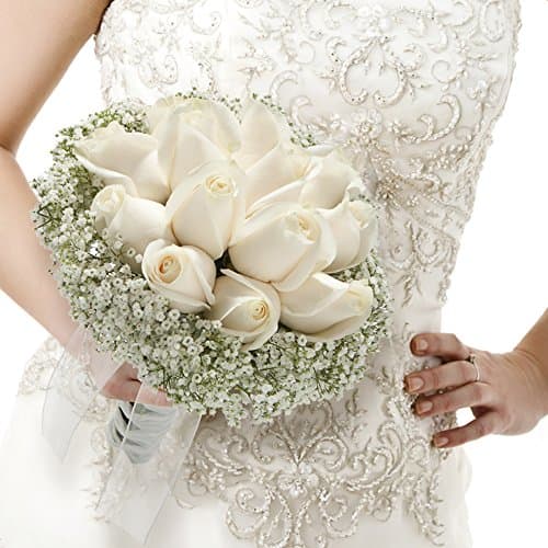 eFlowy - Wedding Rose & Million Star Elegant Collection Solid Colors Ivory 20 Pack