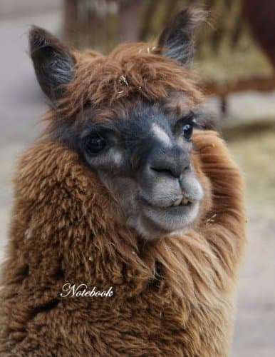 Notebook: Cute Smiling Alpaca Cover Design Notebook/Journal Paperback – 8 Sept. 2017