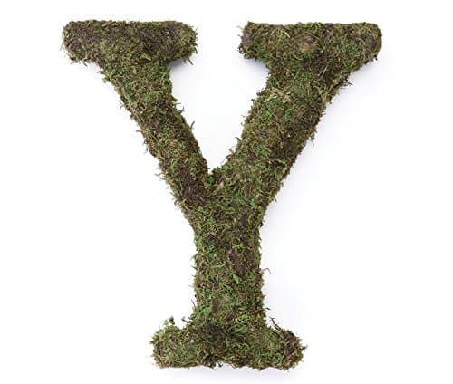 Lillian Rose Moss 15" Y Monogram Letter