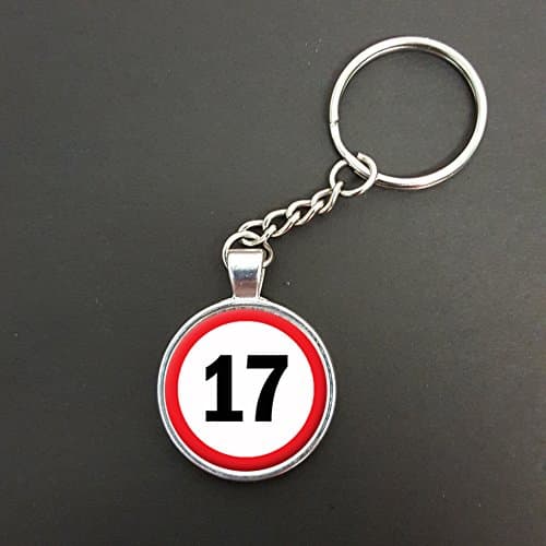 17th Birthday Road Sign Pendant On A Split Ring Keyring Ideal Birthday Gift N597