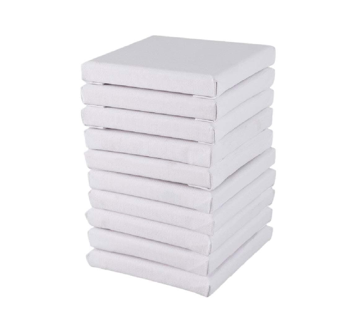 Niuelai 10Pack Mini Canvas Panel, 10x10cm Stretched Canvas Boards, Square Small Art Board for Oil Paint Blank 3.93"