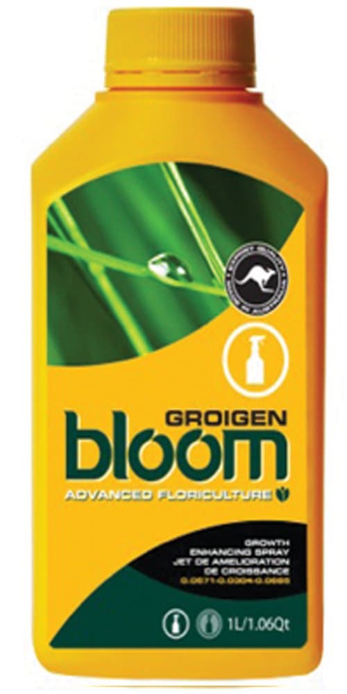 Bloom Groigen 2.5 Liters Yellow Bottles