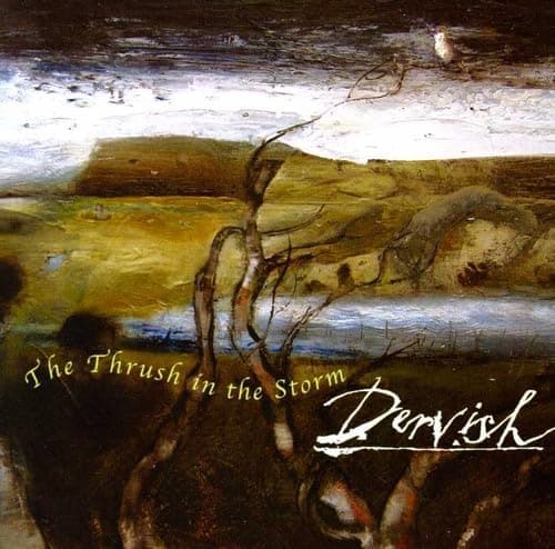 The Thrush In The Storm