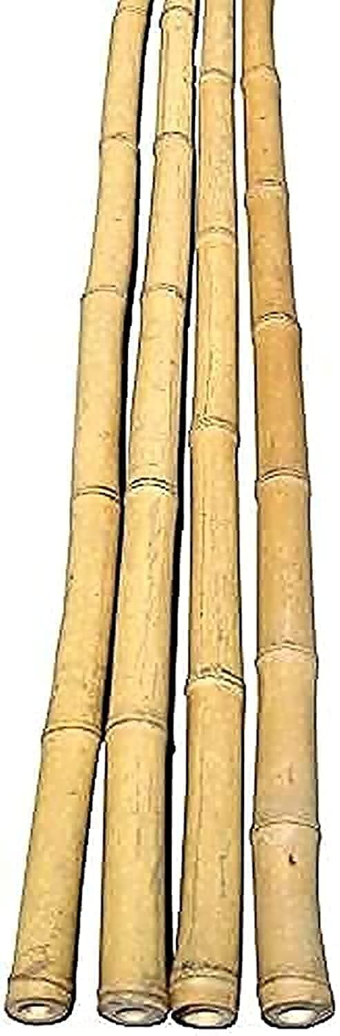 Natural Bamboo Pole/Stake