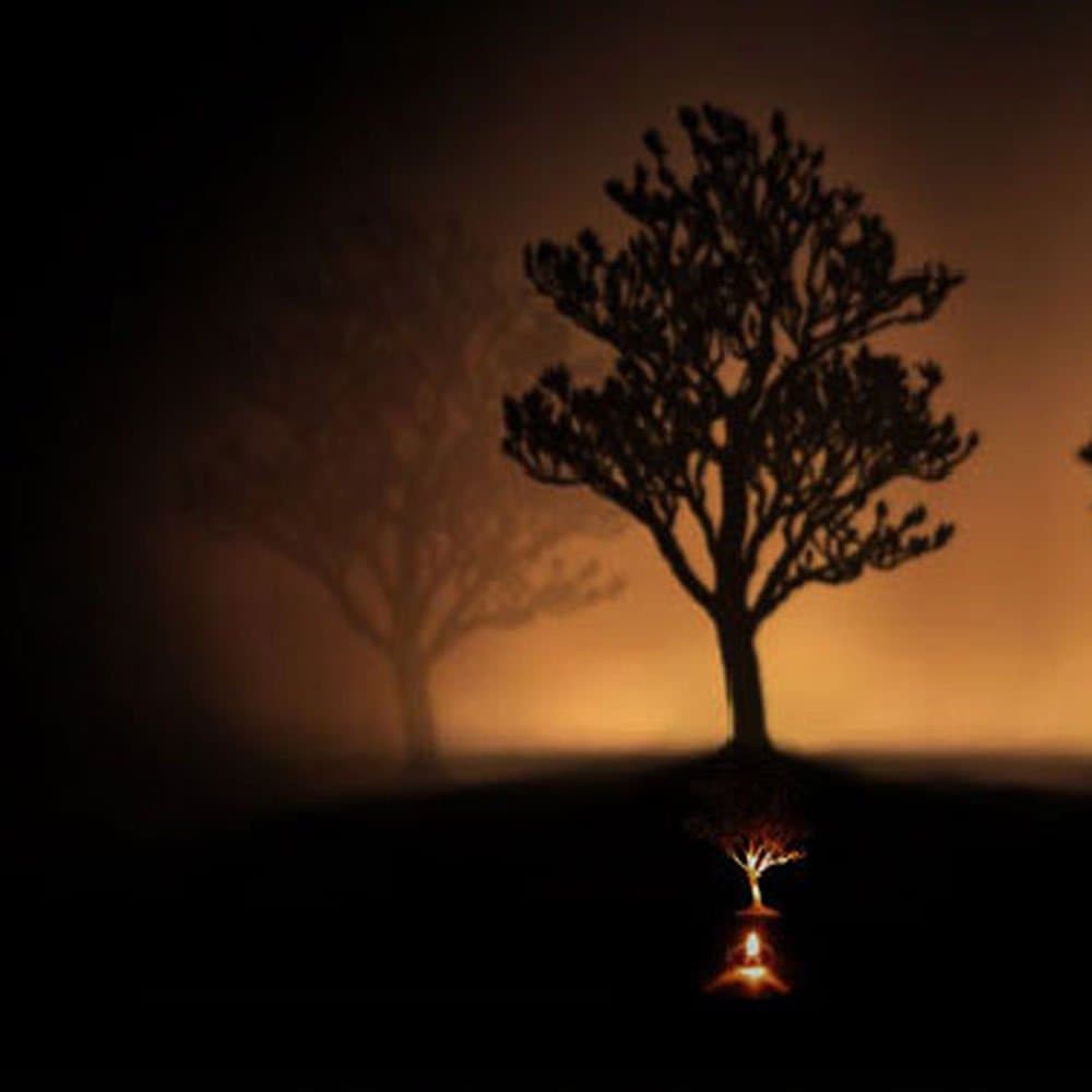 Creative Candle Flickering Style Shadow Projection Lamp Timer Projector Light Romantic Atmosphere Night Light for Desktop Decor (Magnolia)