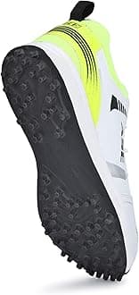 ASE Men's Professional Cricket Shoes