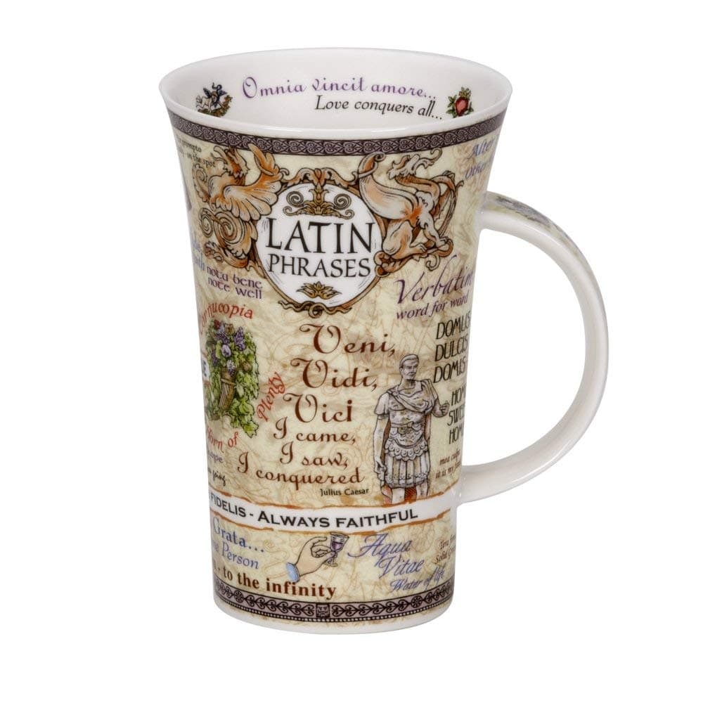 Latin Phrase Mug