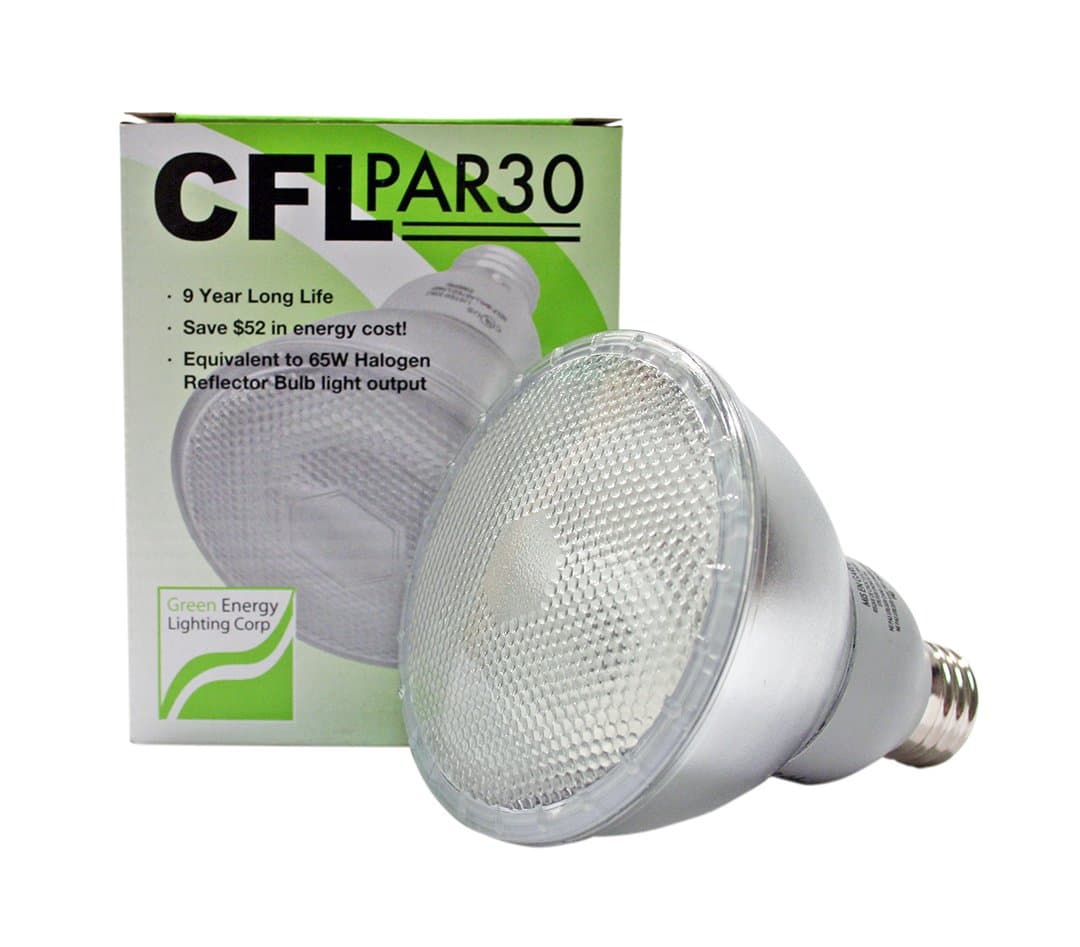 13W CFL PAR30 Fluorescent 5000K Daylight (55W Equivalent)