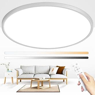 24 Inch Round Led Ceiling Light Fixture, Ultra Thin Flush Mount, Dimmable with Remote Control, 56W, 5600 Lumen, Modern, Silver, for Kitchen, Dining Room, Bedroom, Living Room, Home Office