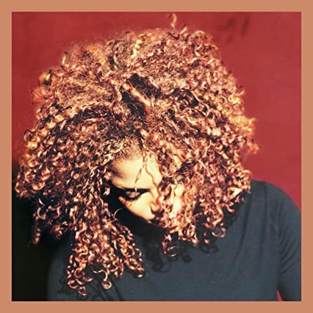 The Velvet Rope       explicit_lyrics
