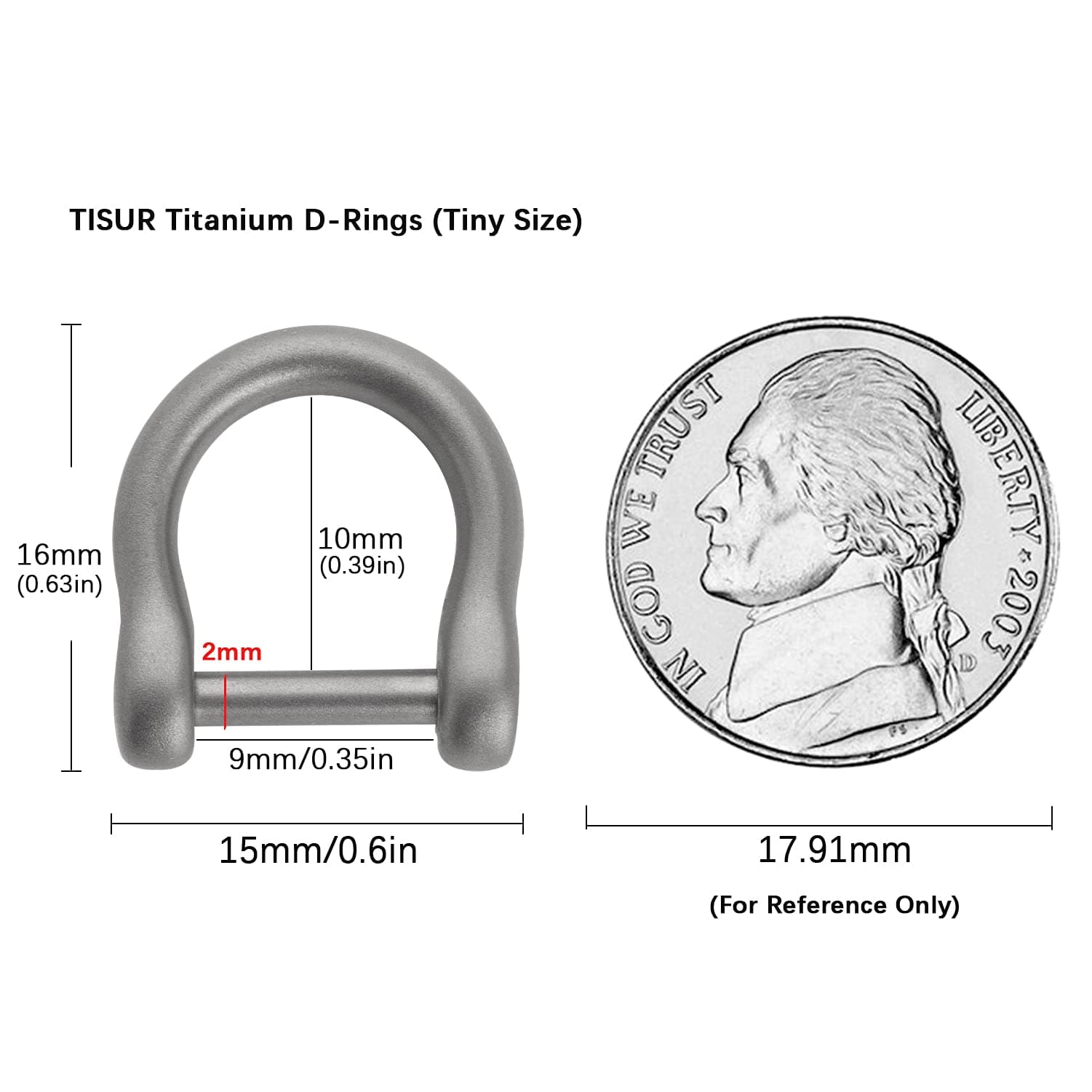 TISUR D-Rings with Screw Shackle, U Shape Key Chains Rings, Car Keys Tools, DIY Leather Craft Purse/Wallet Buckle 2pcs, 0.35'', Matte/Titanium, tiny