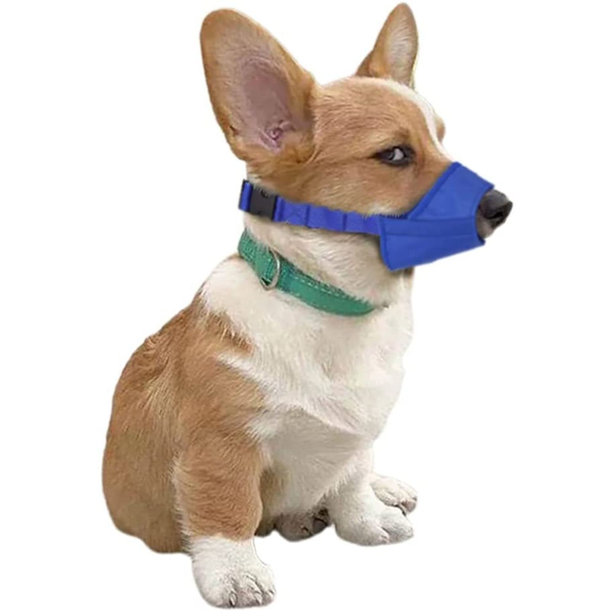 Parts Express , Cozy Quick Muzzle Blue