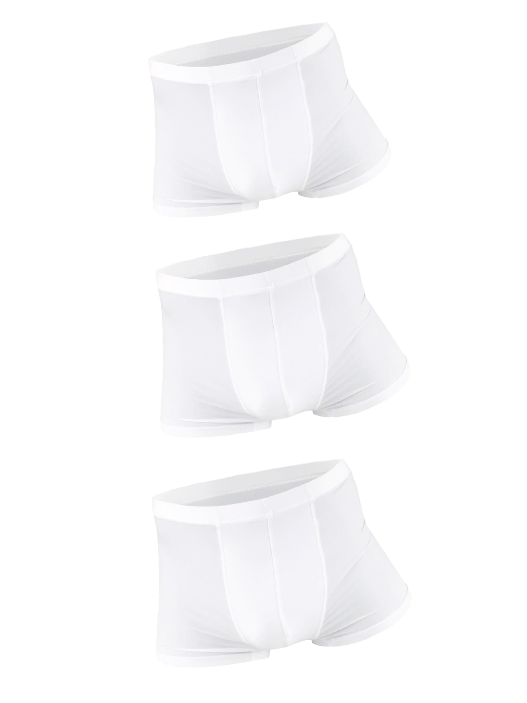 WANYINGMen's Basic Low Rise Ice Silk Boxer Briefs Underwear Smooth Super Thin Breathable