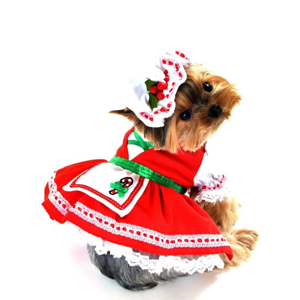 Candy Cane Cutie Dog Costume Size: Small