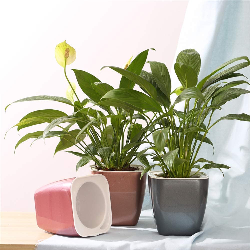 Self-Watering Planter, Plastic Automatic-Watering Planter Flower Pot Square-Plant-Pot for All Plants, Succulents, Herb, African Violets, Flowers (Colourful 004)