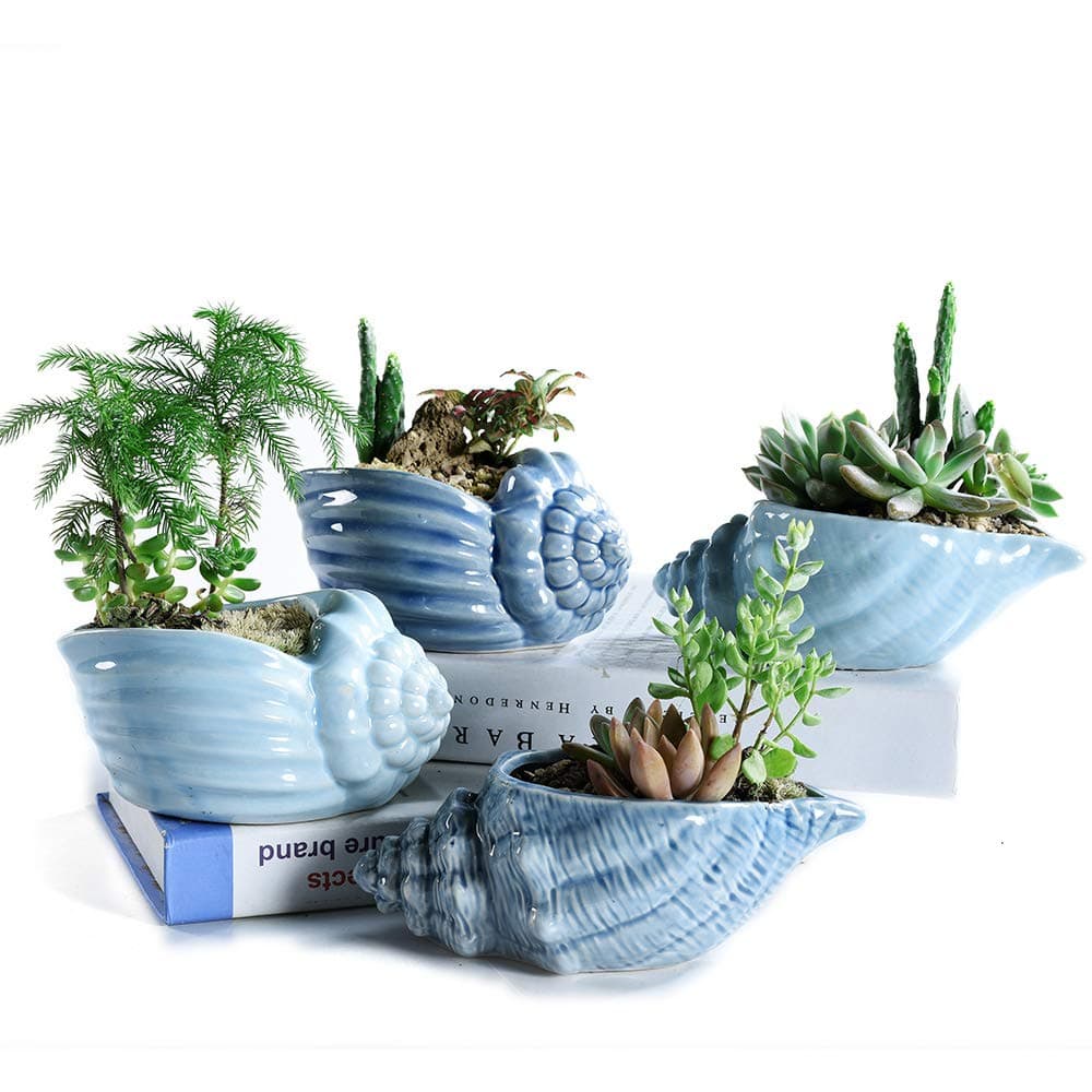 SUN-E 5.5 Inch Blue Conch Ocean Planters Pots Set