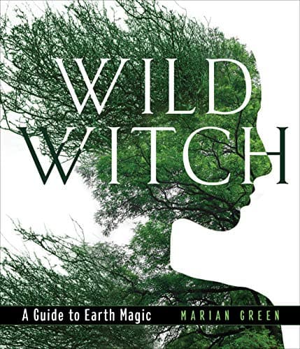 Wild Witch: A Guide to Earth Magic Kindle Edition