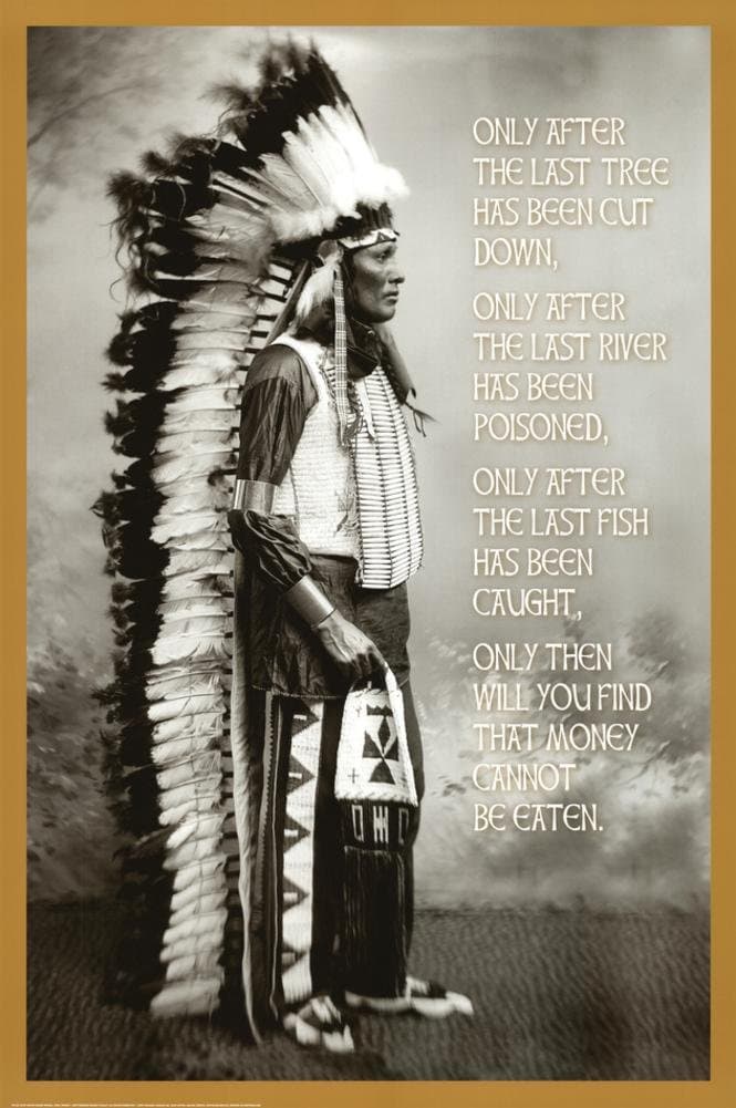 E Chief White Cloud (Native American Wisdom) Art Poster Print 24 x 36in