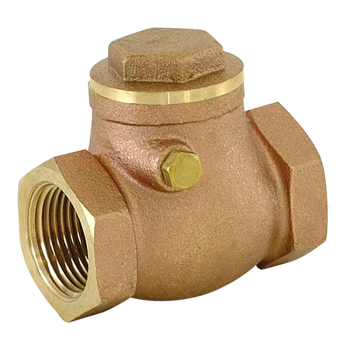 EZ-FLO 20423LF Brass Swing Check Valve