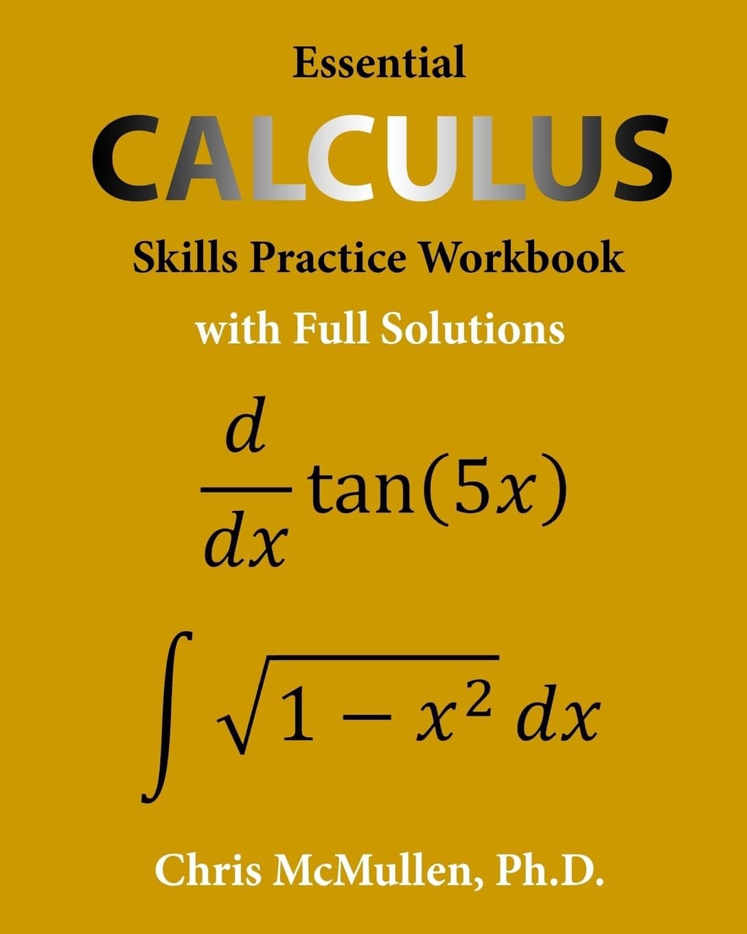 Essential Calculus Skills Practice Workbook