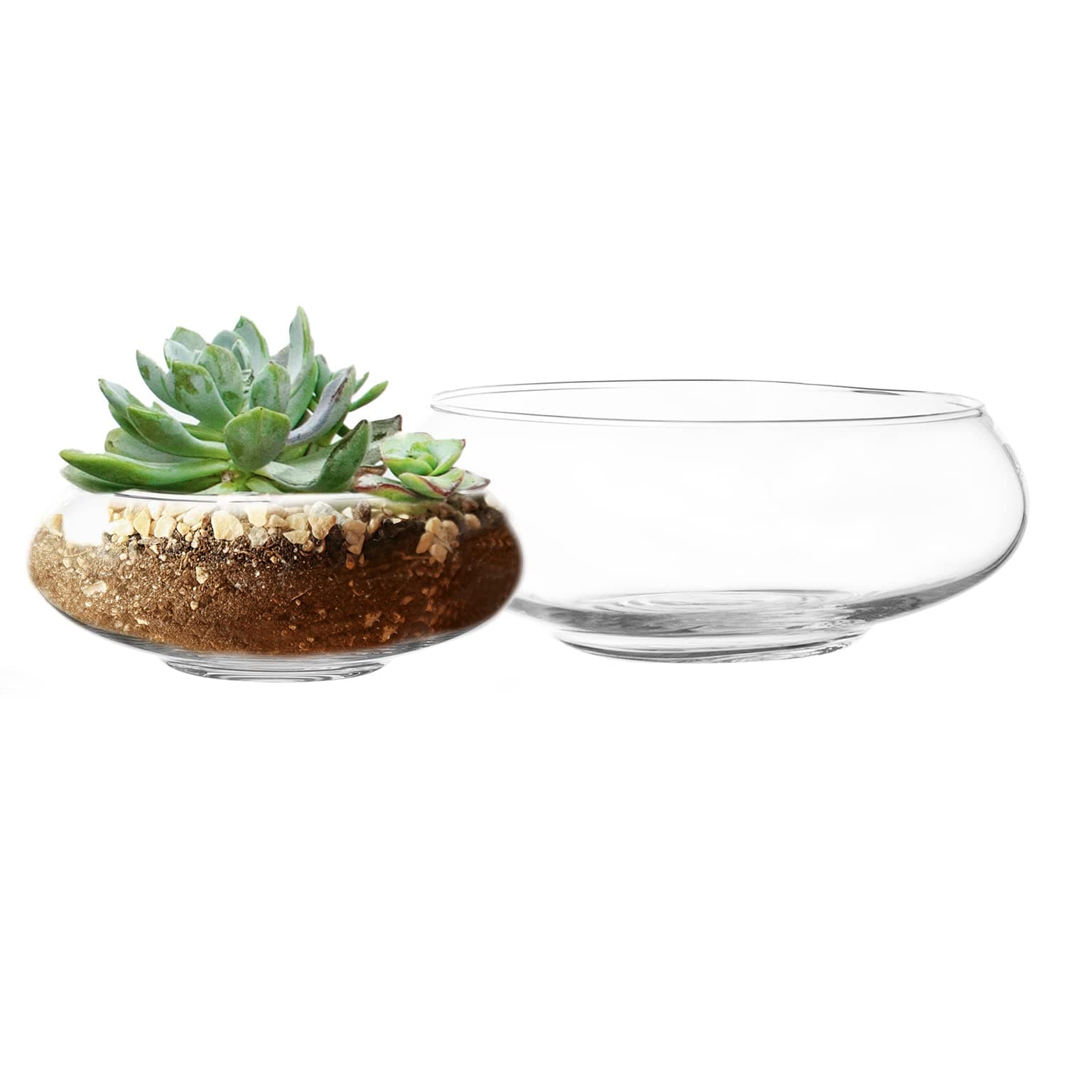 Royal Imports Round Glass Vase Set of 2 – Clear Decorative Glass Bowls for Flowers, Terrariums, Succulent Planters, Bubble Vases, Floral Decor Centerpieces, Glass Flower Pots for Home or Wedding Décor