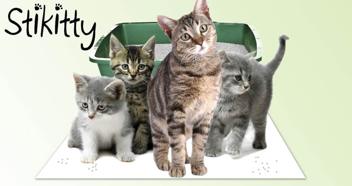 Cat Supplies Stickitty Paw Clean Mat