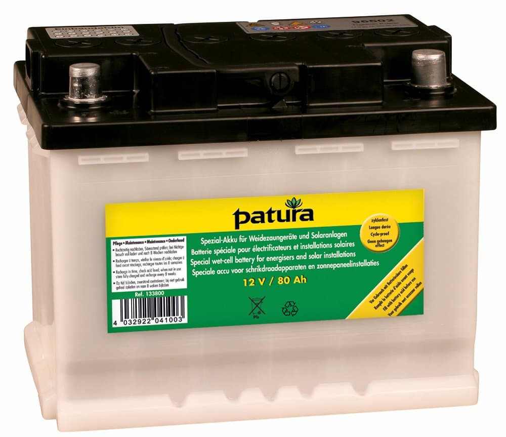 Patura Wet-Cell Battery, 100Ah
