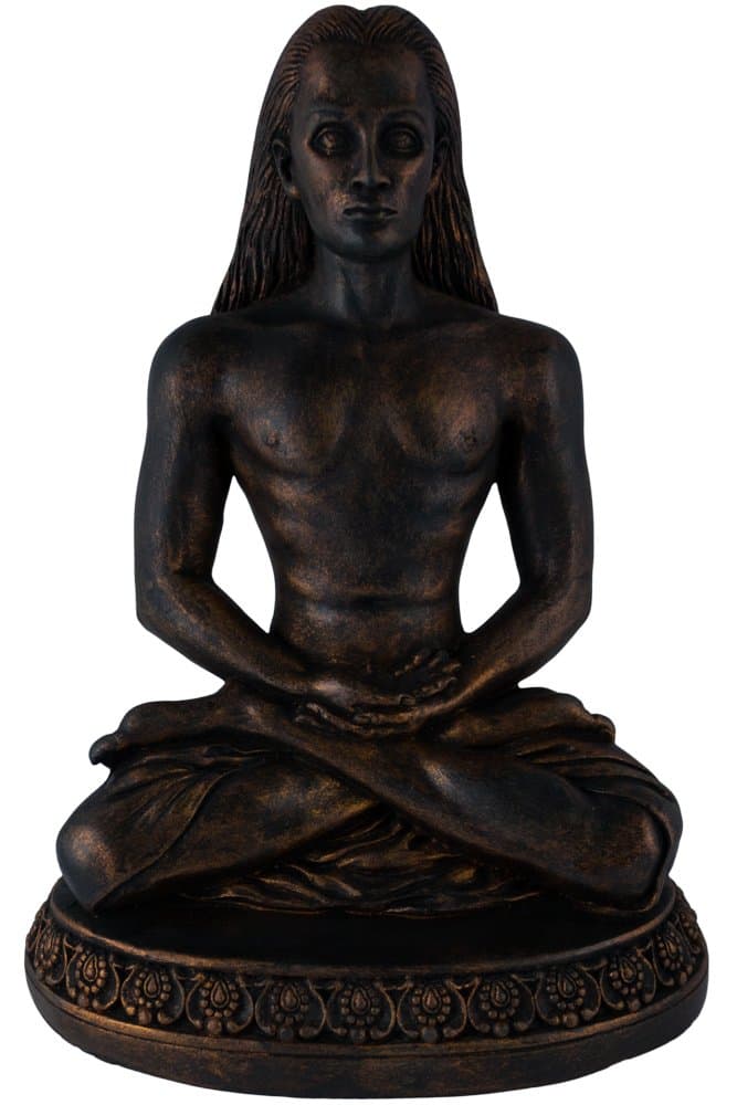 Sacred Source Babaji Statue