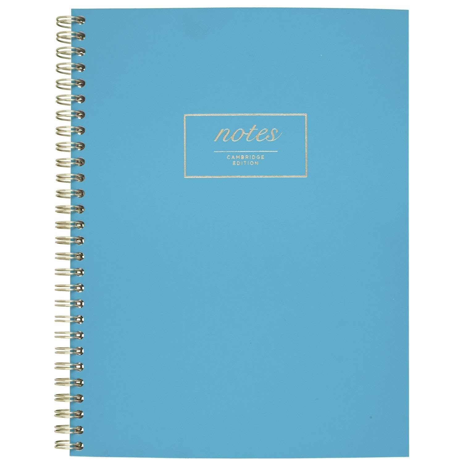 Meeting Notebook, Journal, 9-1/2" x 6-5/8 ", Legal Ruled, 80 Sheets, WorkStyle, Fashion, Teal (49587)