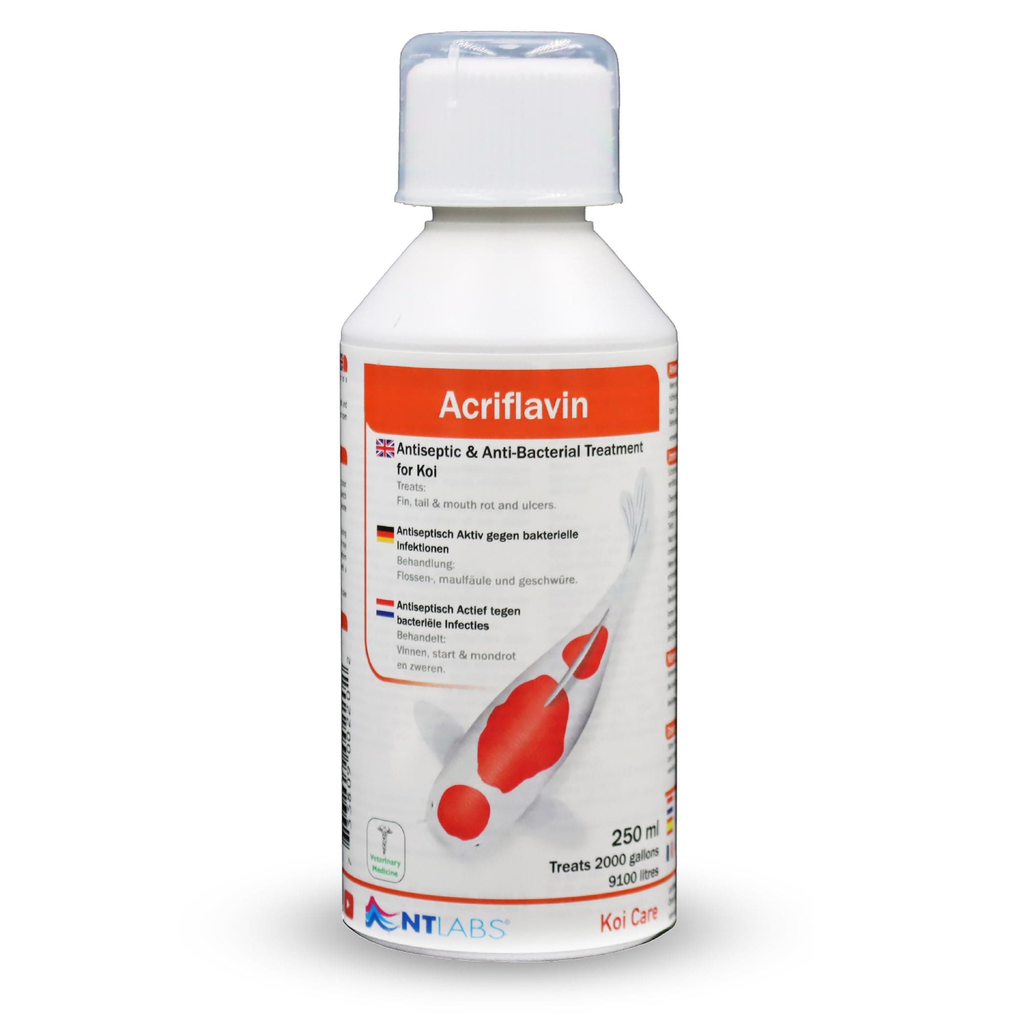 NT Labs Koi Care Acriflavin, Koi Medicine, Treatment for Fin, Tail & Mouth Rot and Ulcers, Treats Bacterial Infections, Quarantine Solution for Koi, 250ml