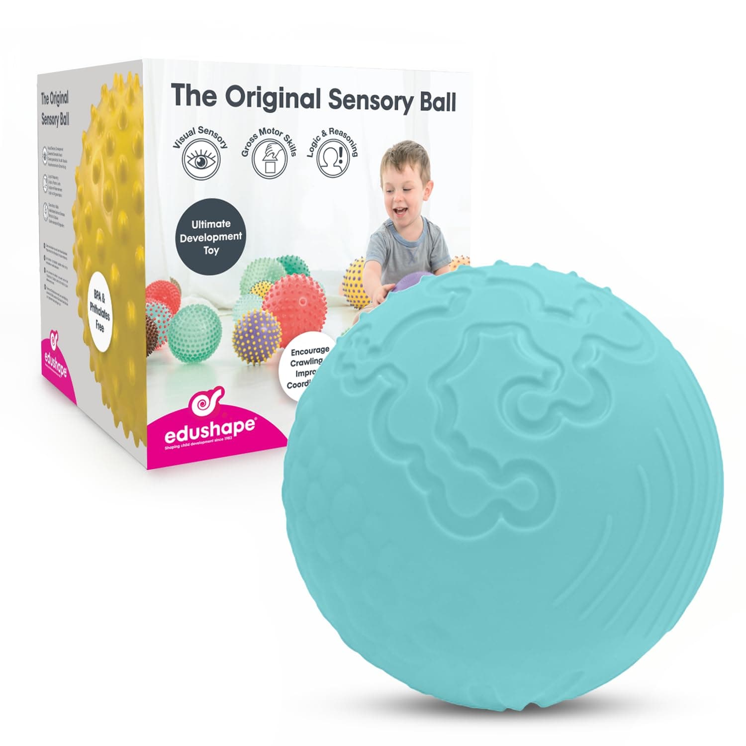 Edushape Texture-iffic Sensory Ball for Baby - 7" Baby Ball that Helps Enhance Gross Motor Skills for Kids - Toddler Ball with 8 Sections of Different Tactile Patterns