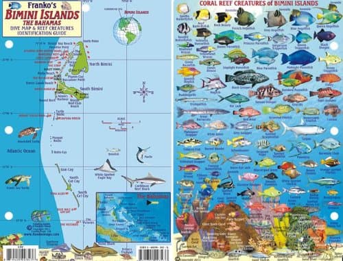 Bimini Islands Bahamas Dive Map & Reef Creatures Waterproof Fish Card Map – December 31, 2010