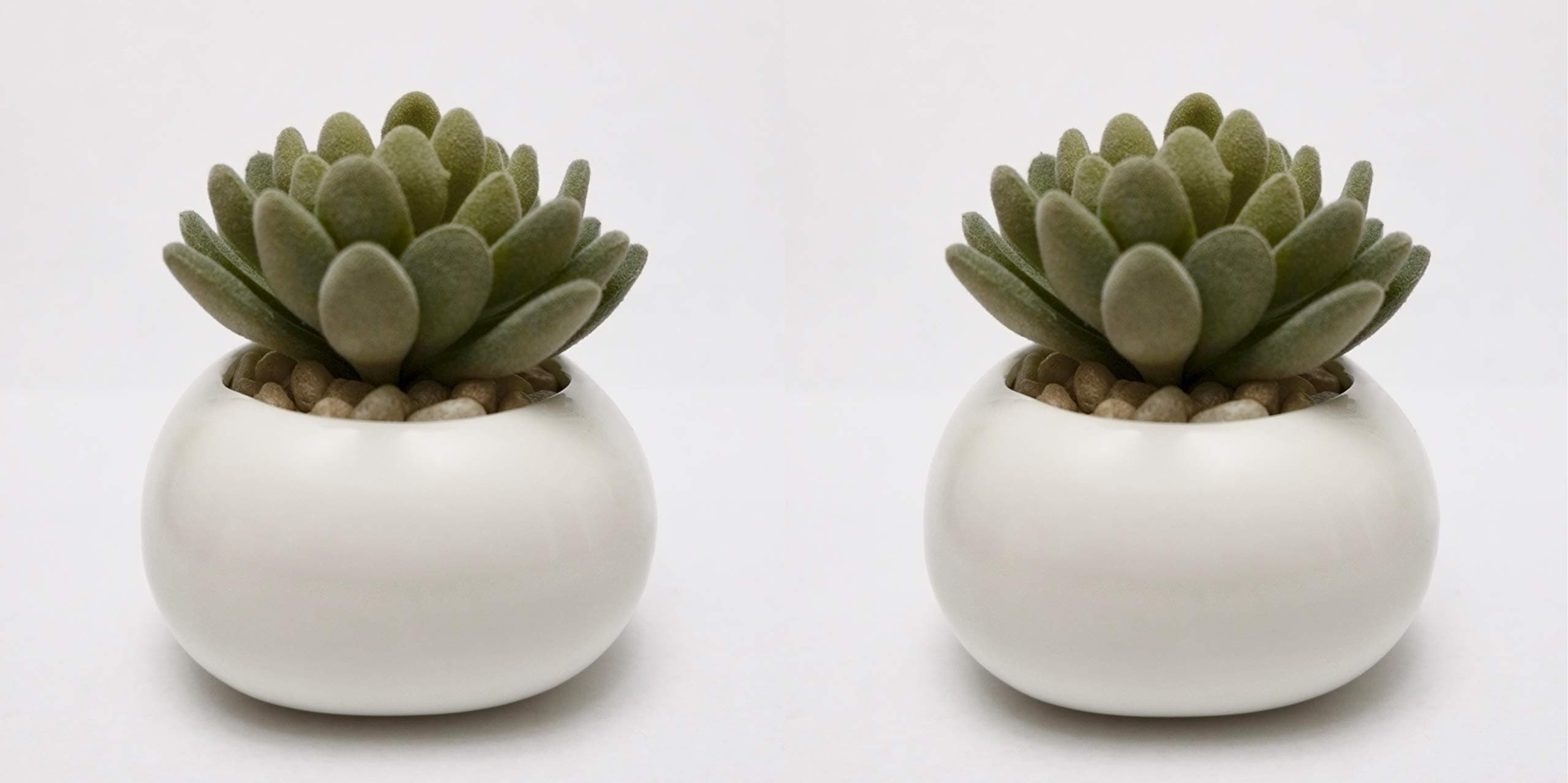 2 Pack Small bun shape succulent planter. Cute minimalist succulent pot. For live or artificial plants, succulents, cacti. Interior decor home, office, wedding. Ceramic porcelain modern zen design.