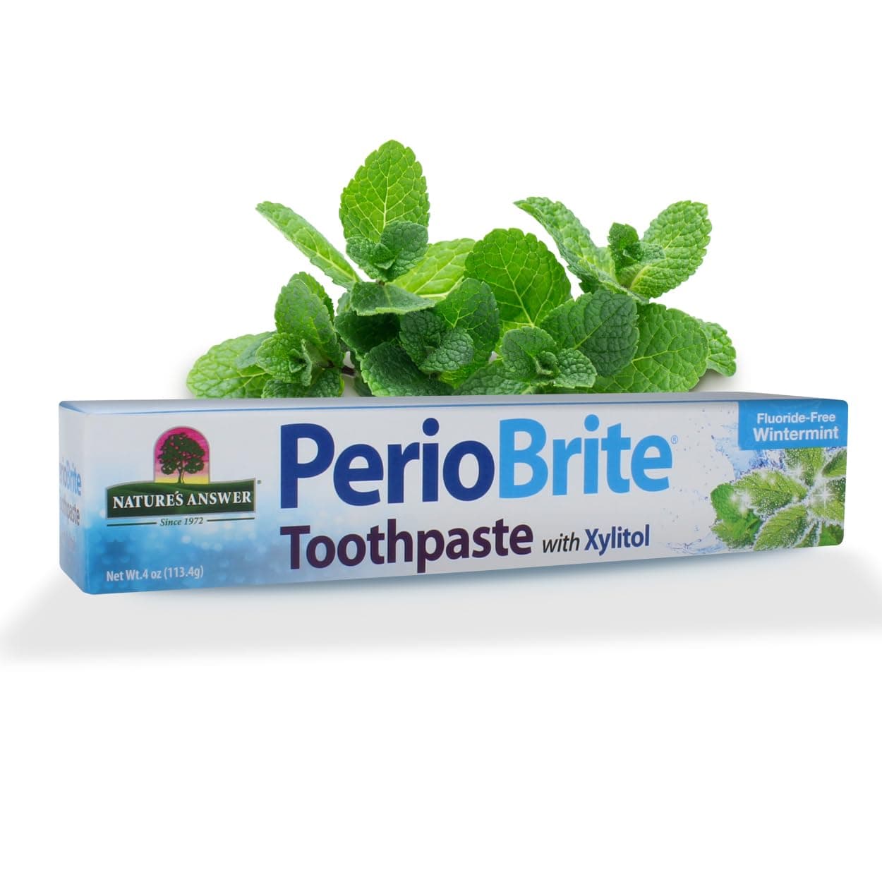 Nature's Answer - PerioBrite Natural Toothpaste Wintermint - 4 oz.