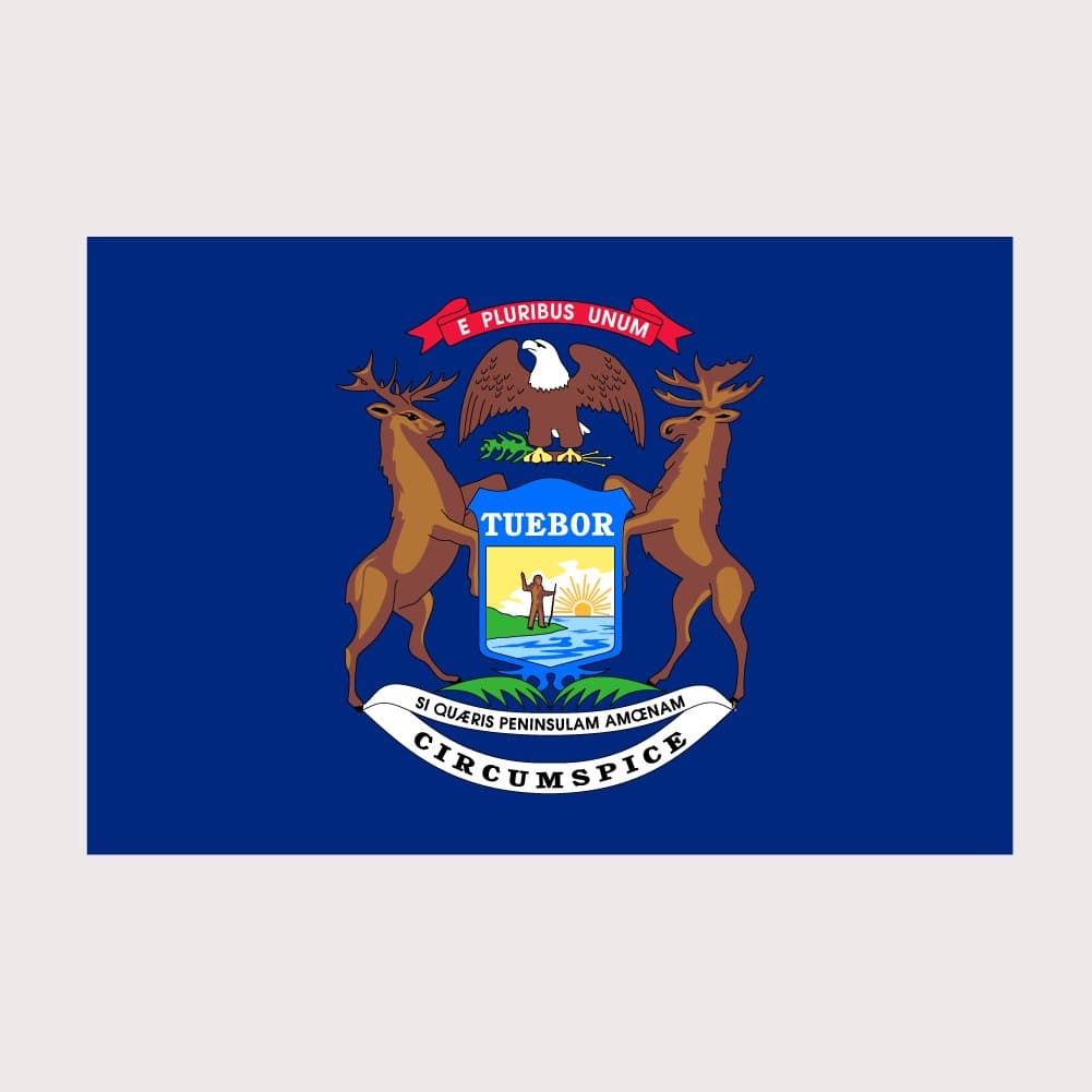 Michigan Pride State Flag Full Color Two Pack - 2 Inch Decal for Macbook, Laptop or other device