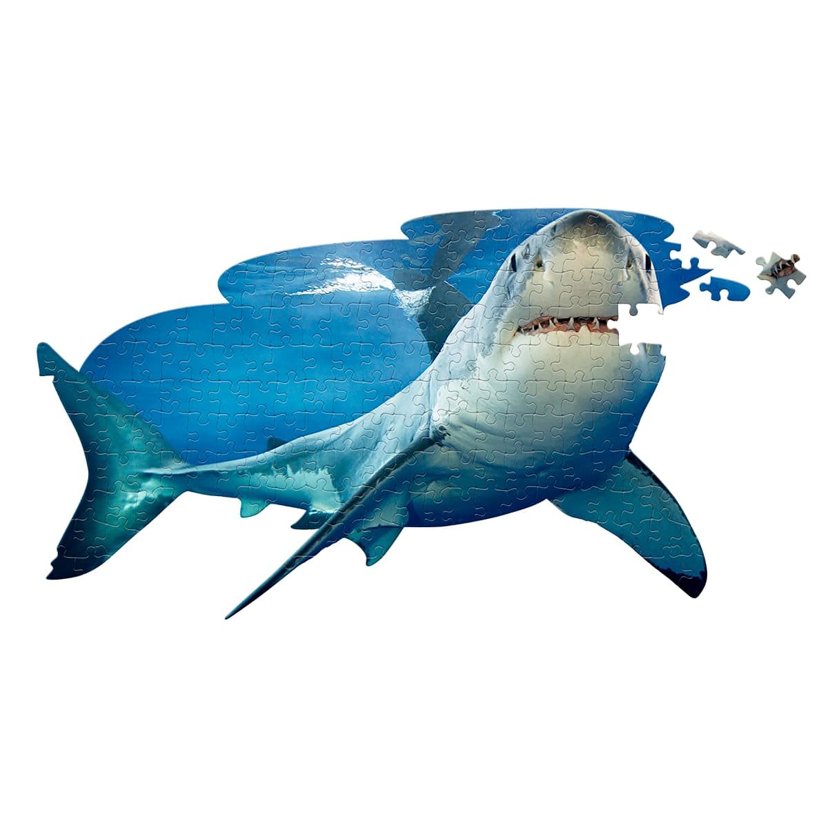 I Am Lil' Shark 100 Puzzle