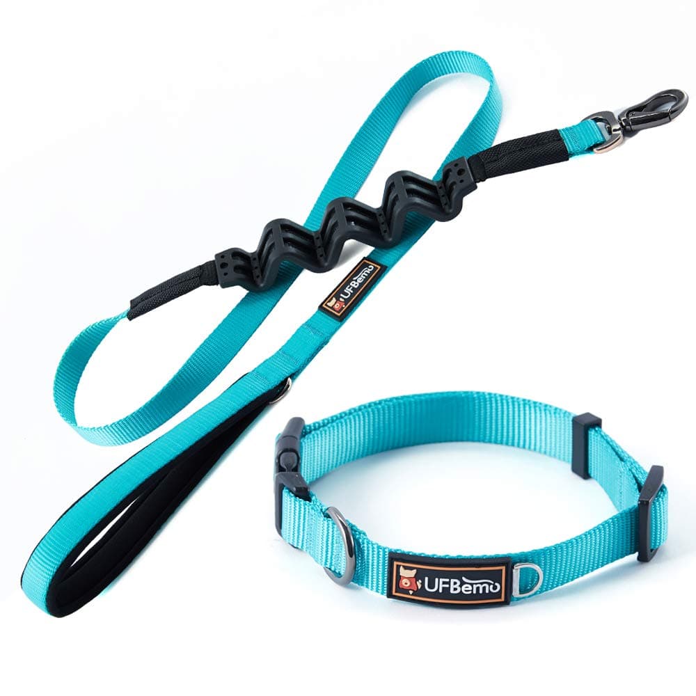 Dog Leash Control & Training Lead Soft Padded Handle Heavy Duty Absorbing Bungee Extension Set with Dog Collar - Perfect for Small to Large Dogs, Blue