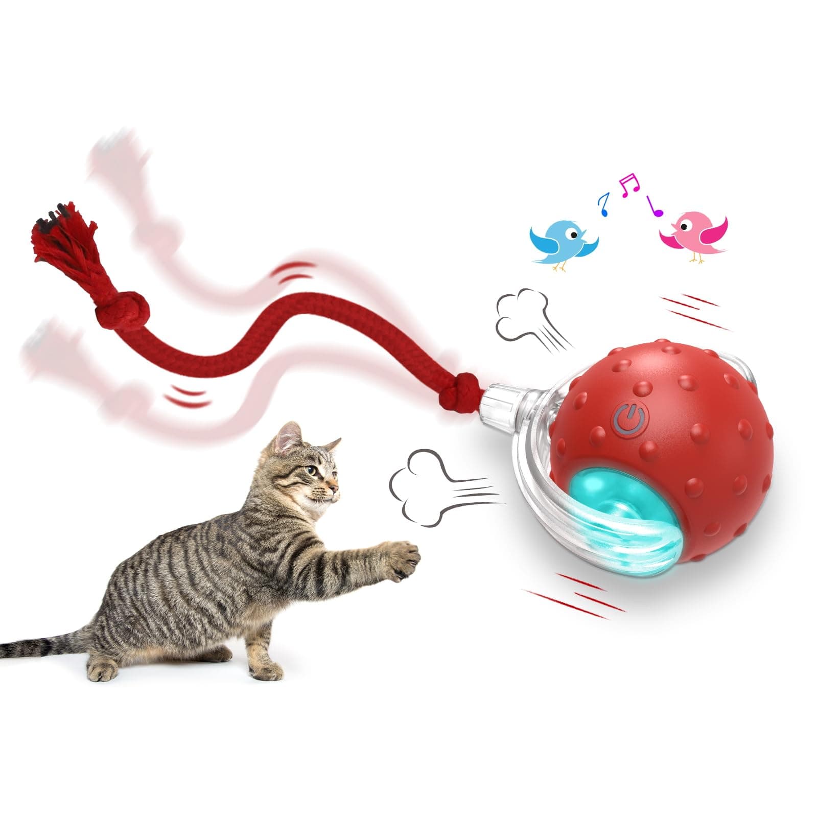 Interactive Cat Toys Ball, Automatic Cat Interactive Toy for Indoor Cats Fast Rolling on Carpet, Chirping & Motion Activate