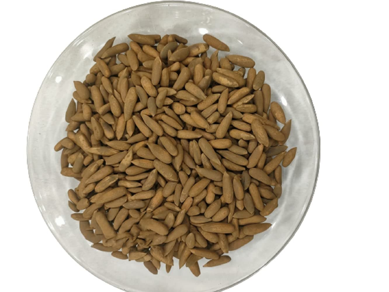 Pine Nuts In Shells- Chilgoza - premium Quality, Fresh Pine nuts (500)