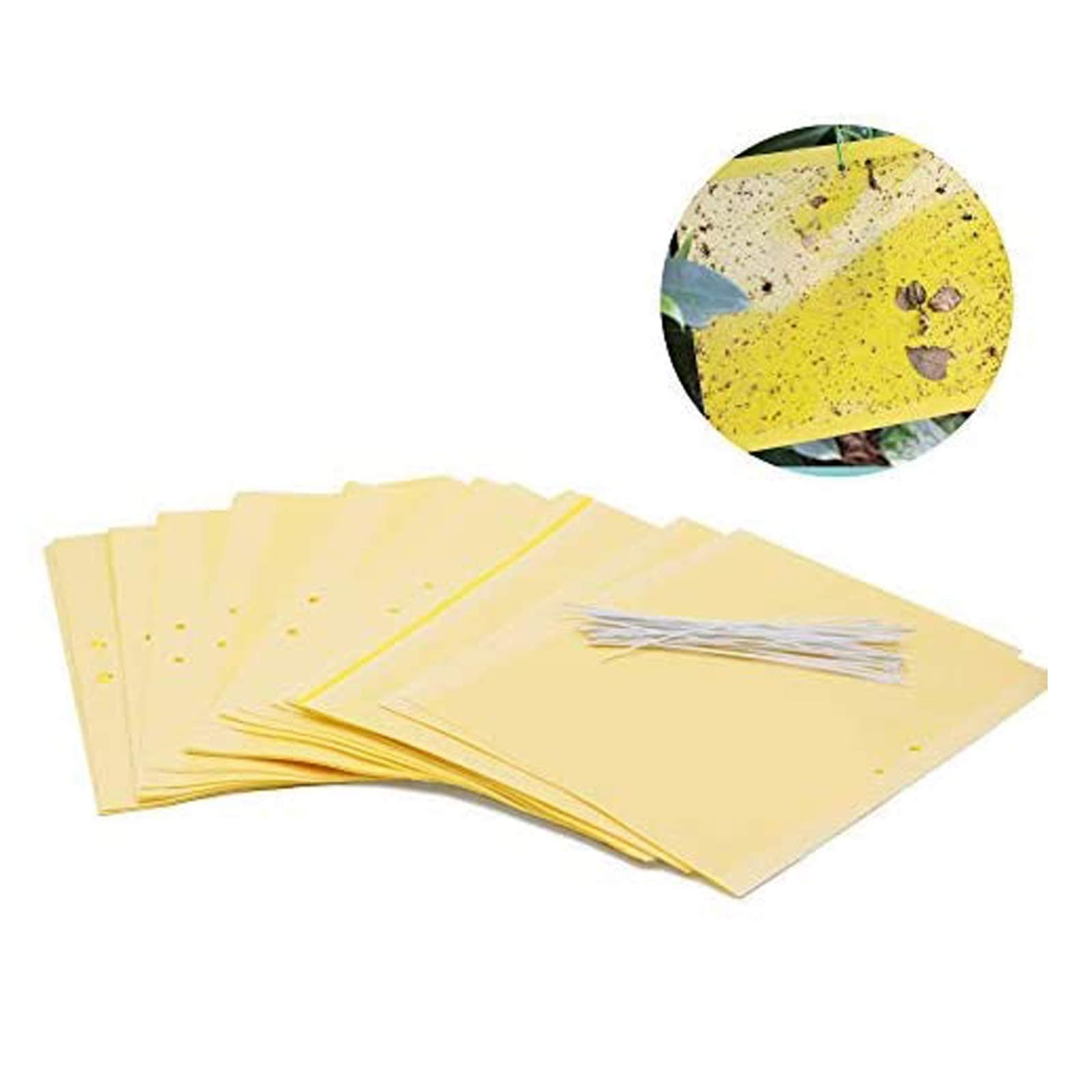 30PCS PLA Biodegradable Yellow Sticky Traps, Natural Corn Grain Fly Catcher, Fly Paper for Flying Plant Insect (Twist Ties Included) - 25cmX15cm