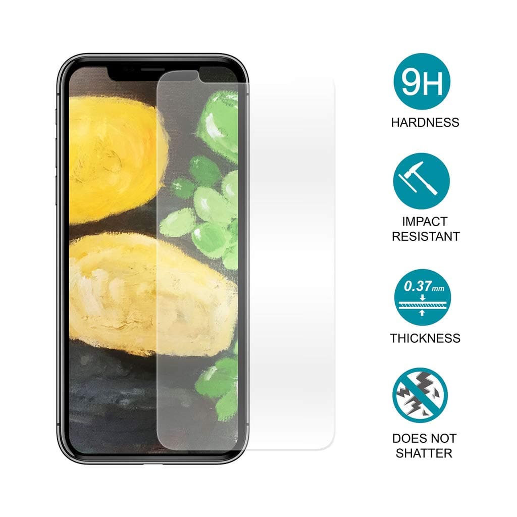 Green Onions Supply RT-SPM17XR302 Screen Protector - 17"LCD Notebook