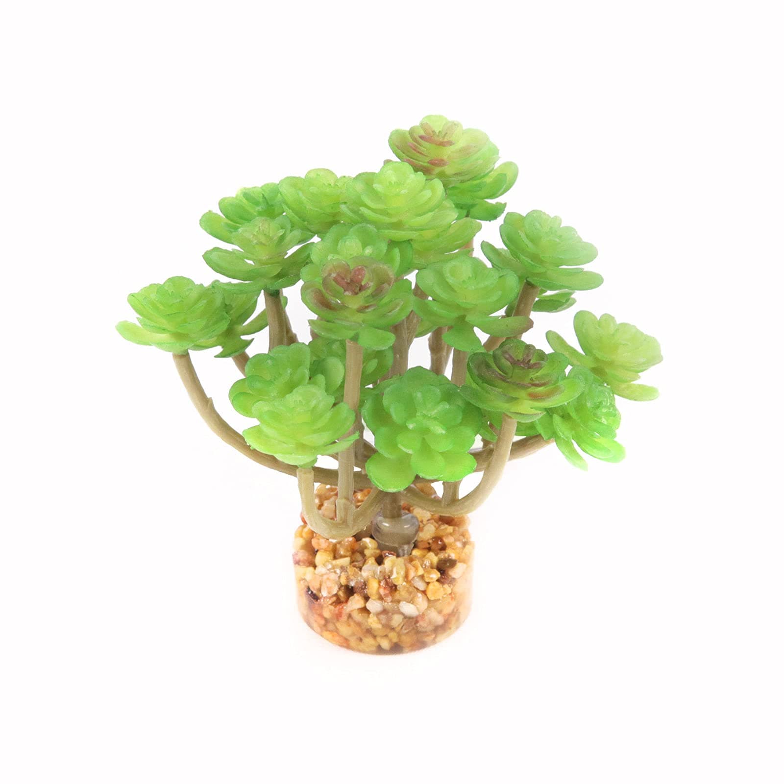 TD Suculent Plant Green