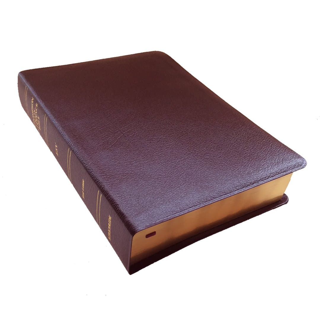 ESV - Burgundy Genuine Leather - Regular Size - Thompson Chain Reference Bible (011063) Leather Bound – May 11, 2017